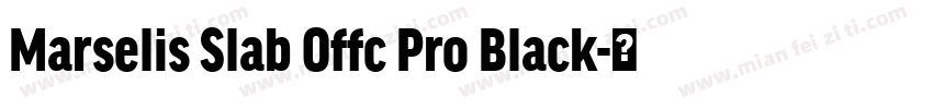 Marselis Slab Offc Pro Black字体转换